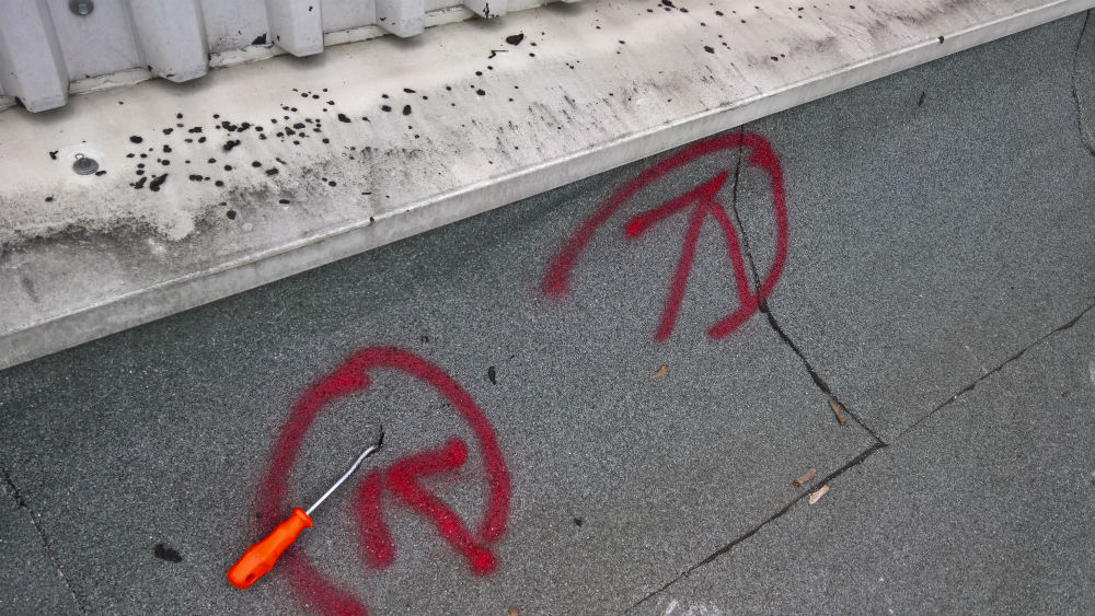 Hella Saturnus Slovenija