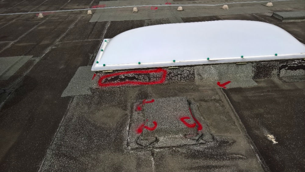 Hella Saturnus Slovenija